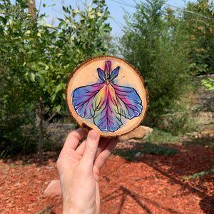 Blue Lobelia Wooden Coaster